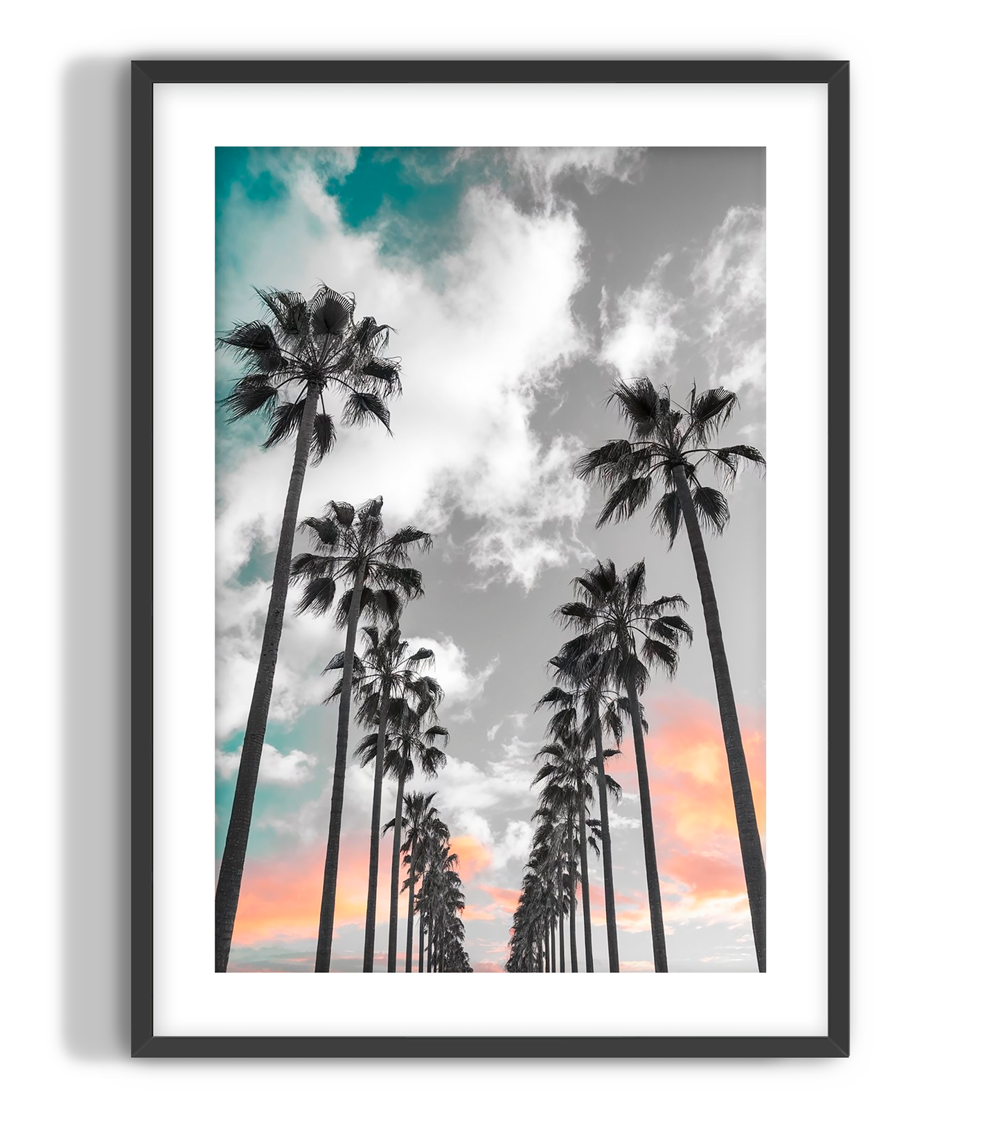 Sunset Palms