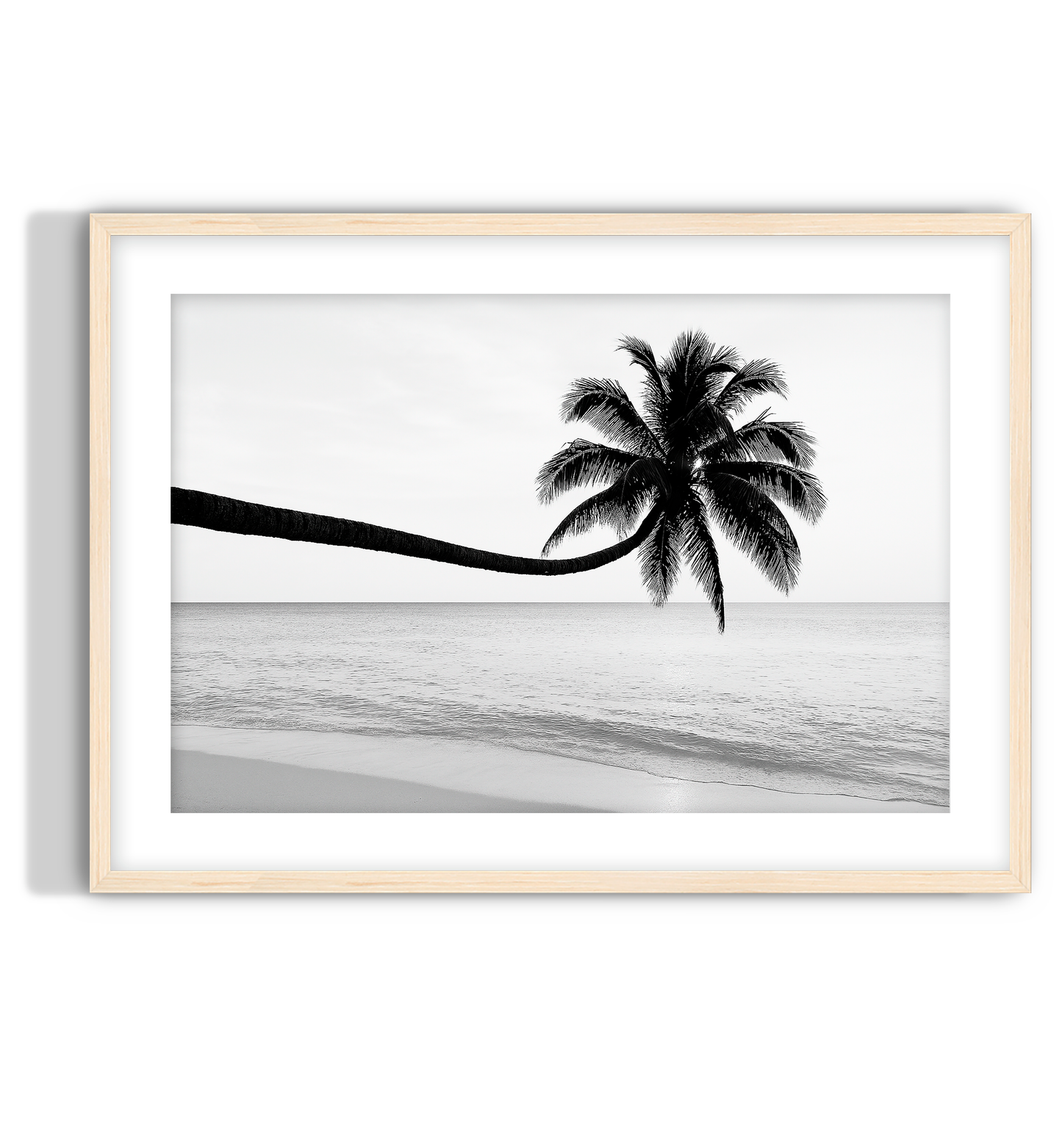 Monochrome Palm