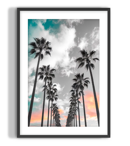 Sunset Palms