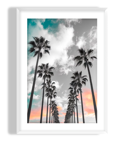 Sunset Palms