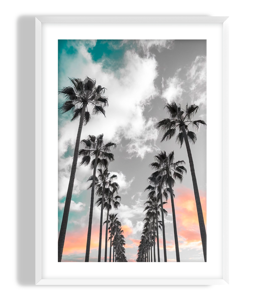 Sunset Palms