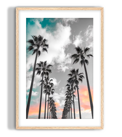 Sunset Palms