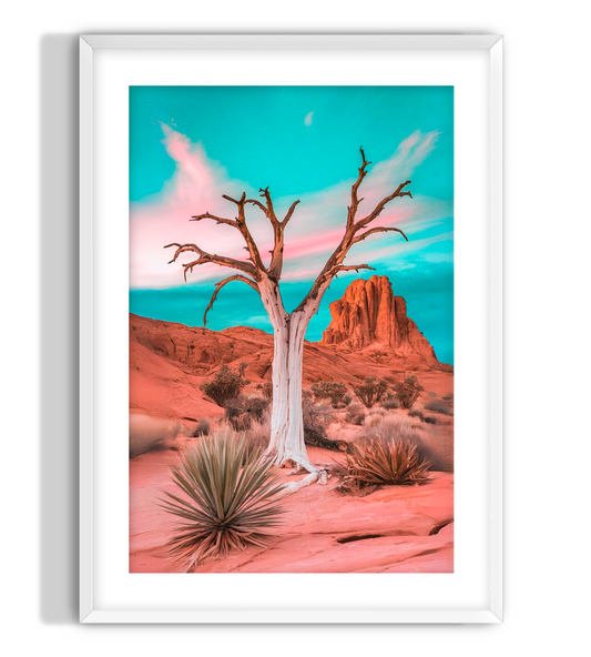 Desert Deadwood