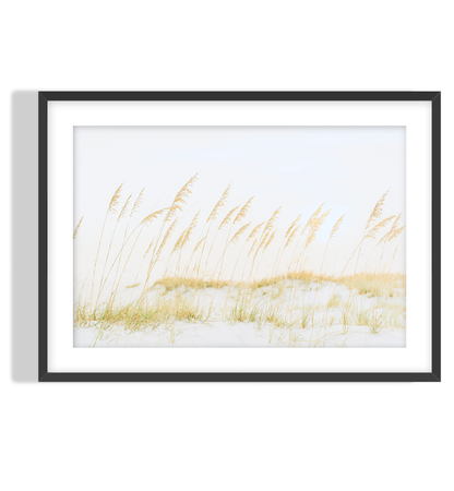 Golden Dune