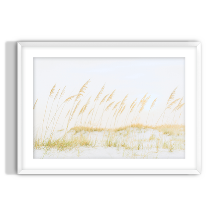 Golden Dune