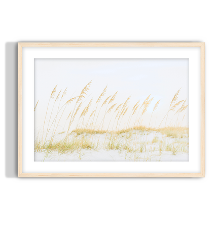 Golden Dune