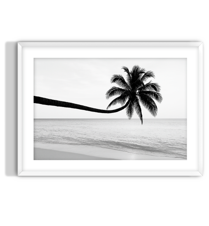 Monochrome Palm
